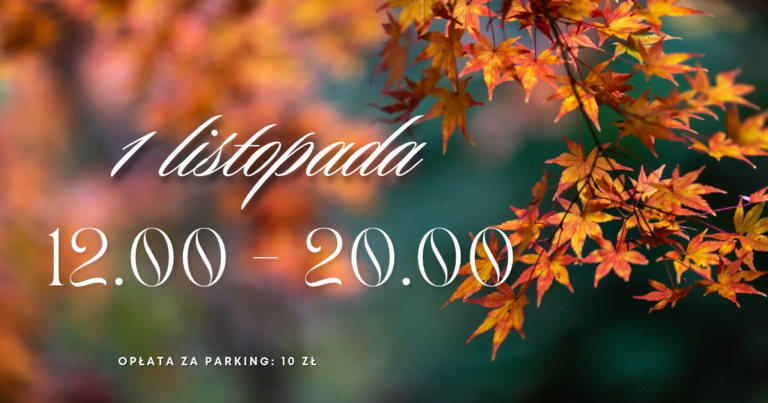 Read more about the article 1 listopada